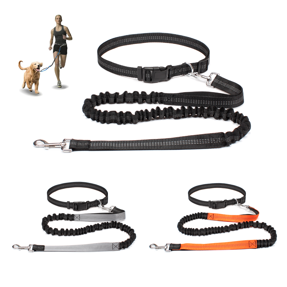 Running Gear Organizer - Hand Free Dog Leash for Pet