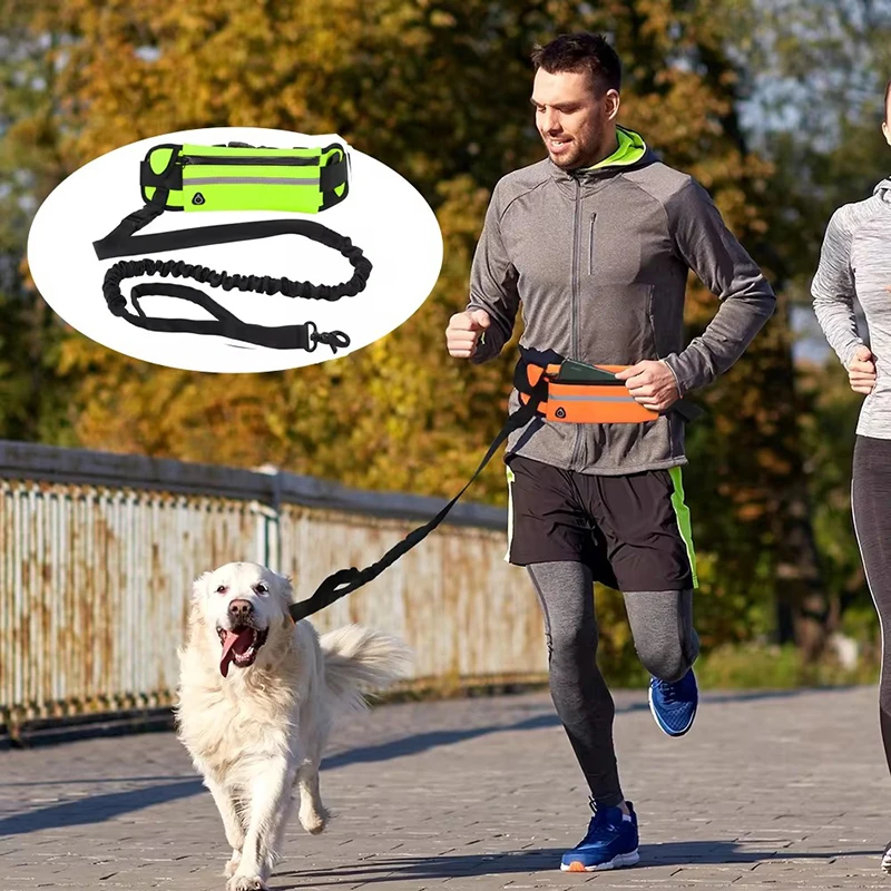 Hands Free Dog Leash for Runni - đánh giá và giá Running Gear Belt