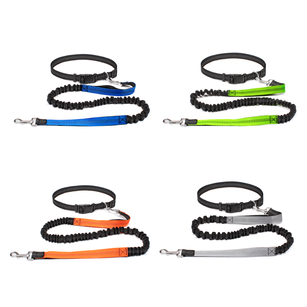 Hand Free Dog Leash for Pet Wa - đánh giá và giá Running Gear Organizer